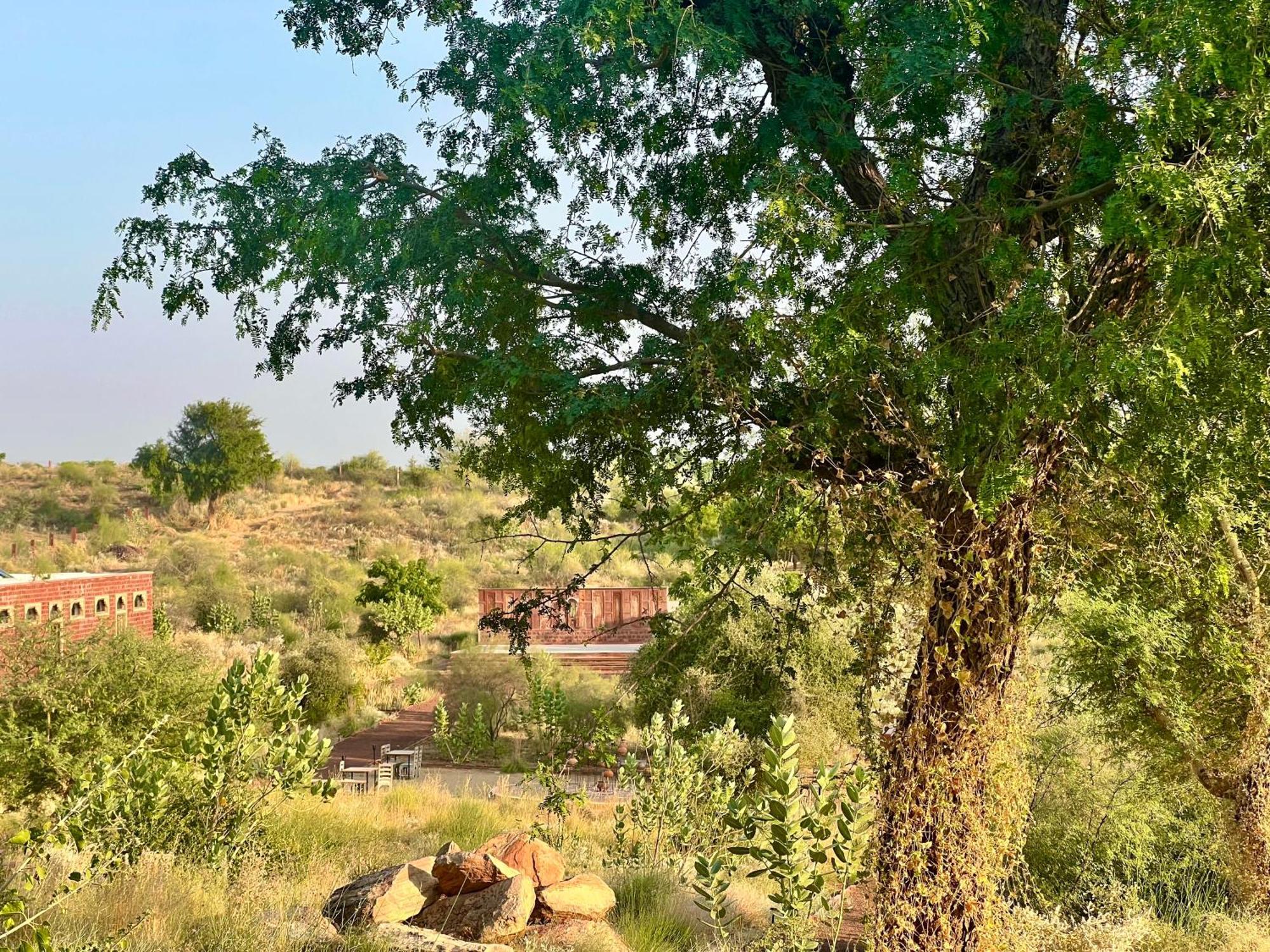 Kaner Retreat - India'S First Desert Botanical Resort Shaitrāwa Eksteriør billede
